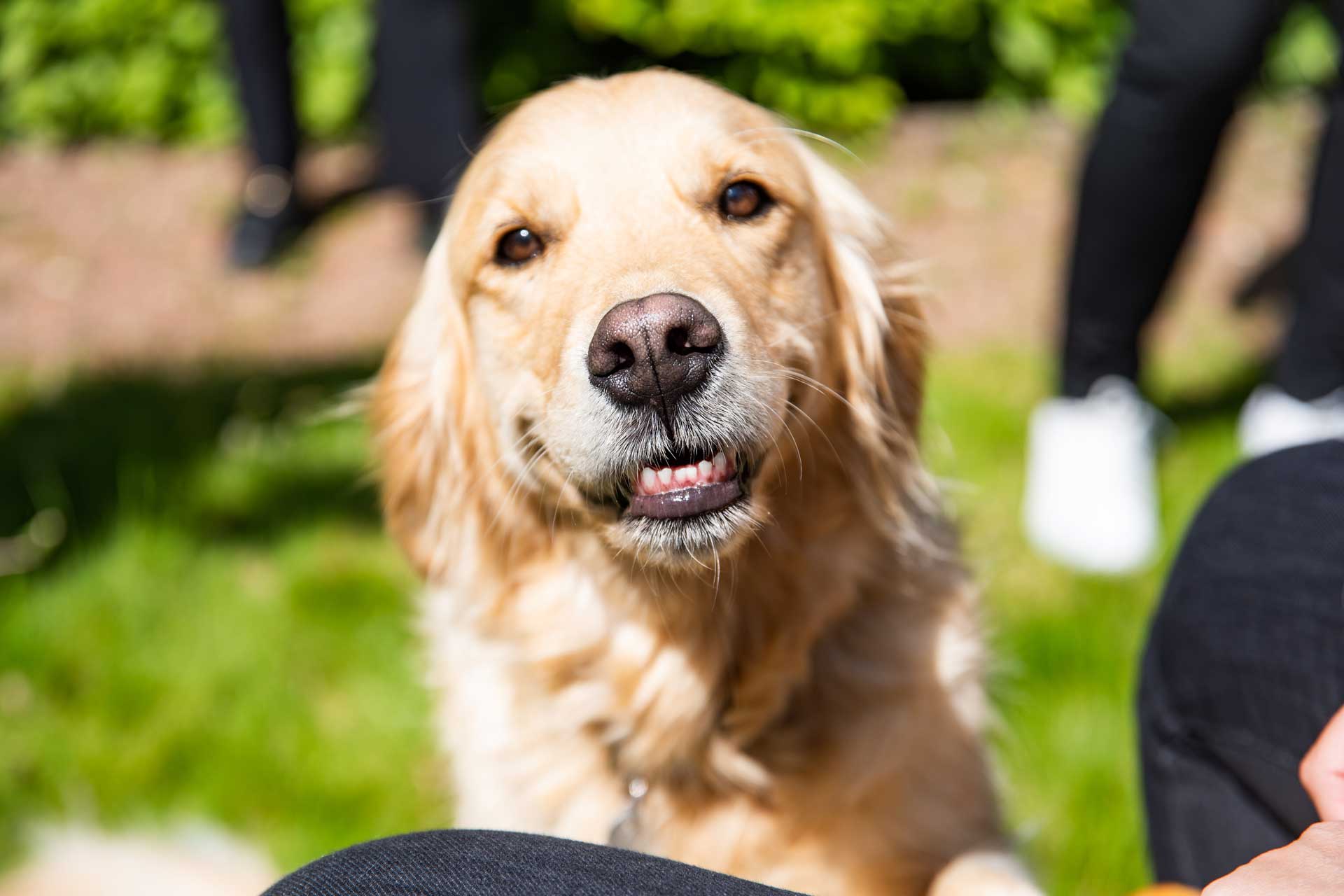 JASPERS Steuerberatungsgesellschaft mbH – 47574 Goch